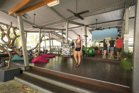 Roamer Magnetic Island Koala Park - Formerly Selina Magnetic Island - Holiday Byron Bay 20