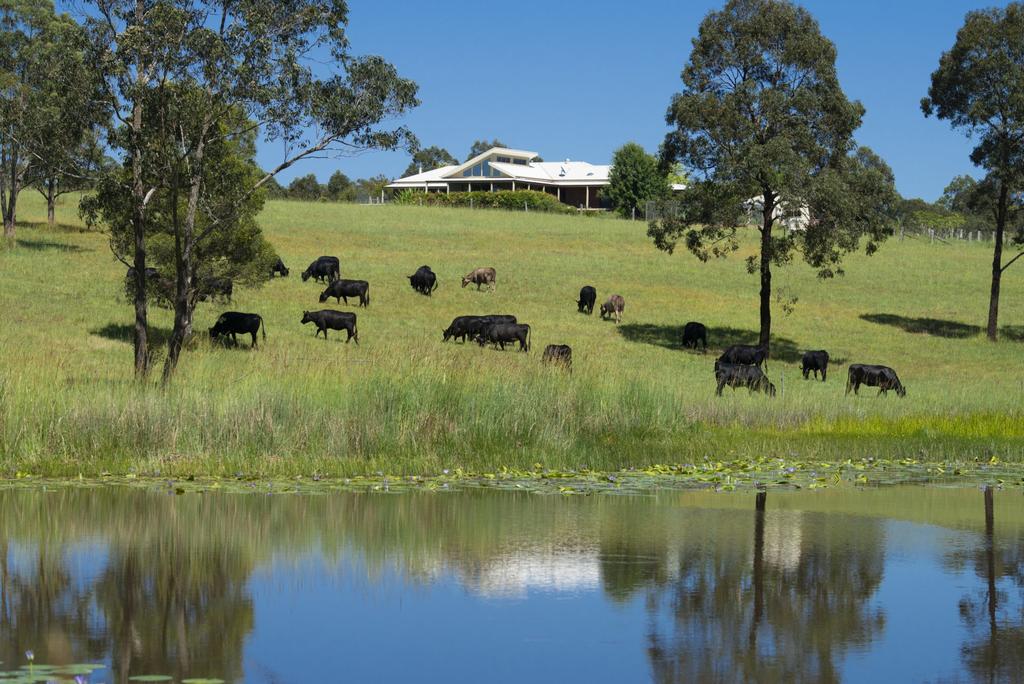 Upper Myall NSW Holiday Byron Bay