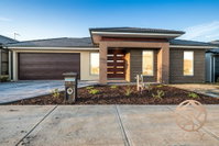 Book Clyde Accommodation Vacations Holiday Byron Bay Holiday Byron Bay