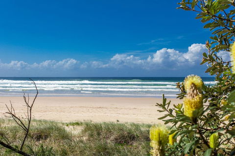 A SWEET ESCAPE - Beachfront Tranquility - Holiday Byron Bay 3