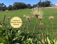 Book Woodside Accommodation Vacations Holiday Byron Bay Holiday Byron Bay