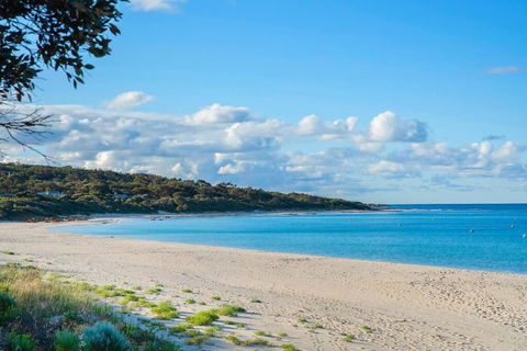 Eagle Bay Summerhaus - Holiday Byron Bay 1