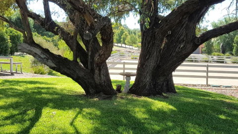 Equestrian Farm Stay - Holiday Byron Bay 0