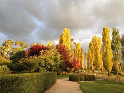 Glen Waverly Farmstay - Holiday Byron Bay 1