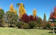 Glen Waverly Farmstay - thumb 3