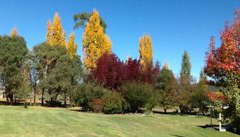 Glen Waverly Farmstay - Holiday Byron Bay 3