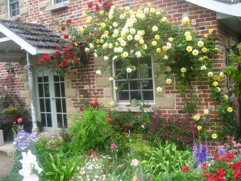 Annie's Cottage - Holiday Byron Bay 3