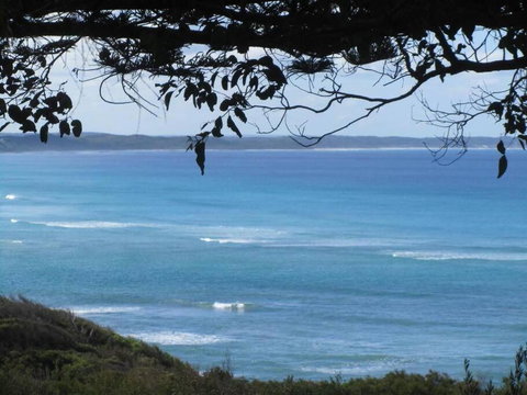 Maizies View - A Hidden Gem - Holiday Byron Bay 1