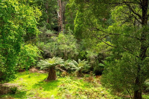 Millers Rest - Holiday Byron Bay 3