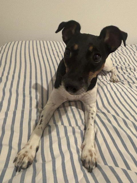 Modern Apartment Near Airport - Holiday Byron Bay 1