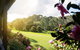 Mount Lofty Golf Course - thumb 3