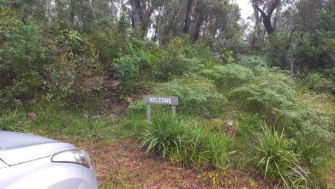 Mountain Tranquility - Holiday Byron Bay 3