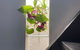 Nature Retreat & Artists Studio 90mins From Sydney - thumb 2