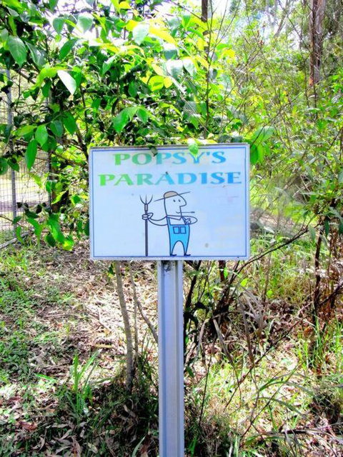Nature Retreat & Artists Studio 90mins From Sydney - Holiday Byron Bay 3