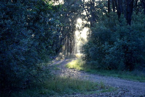 On Bell Glamping - Holiday Byron Bay 3