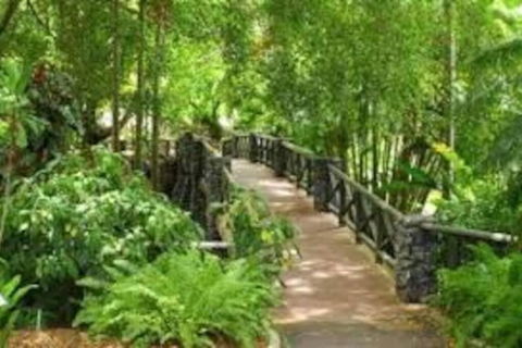 Paddington Pad With Back Deck And Free Car Space Close To Suncorp - Holiday Byron Bay 2