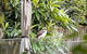 Quaint Queen Room - Central Location At Pymble - Shared Bathroom - thumb 1