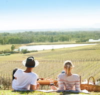 Audrey Wilkinson Vineyard - Holiday Byron Bay