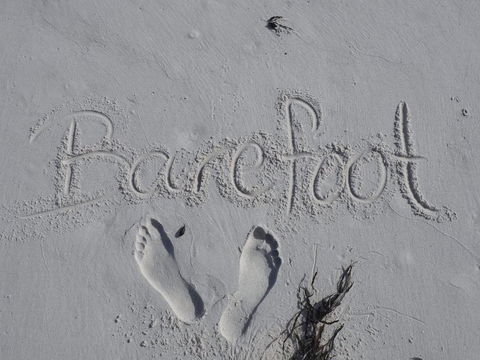 Barefoot Beach House - Holiday Byron Bay 0