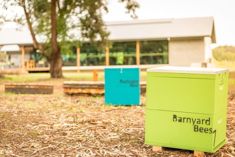 Barn Hives Yallingup - Holiday Byron Bay 2