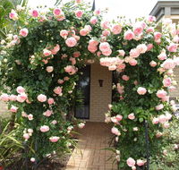 Baudins of Busselton Bed and Breakfast - Holiday Byron Bay