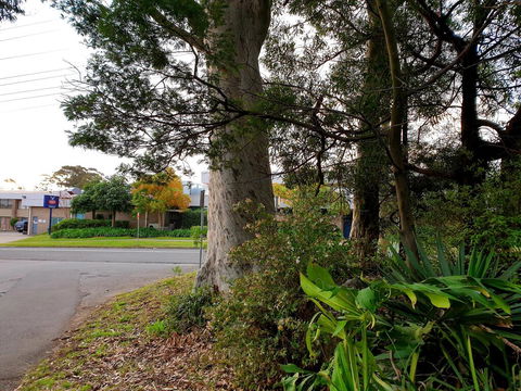 Bay & Basin - Holiday Byron Bay 2