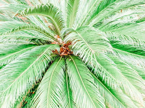 Bay & Basin - Holiday Byron Bay 3