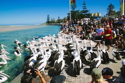 Beach And Ocean Front Penthouse With Wifi And Parking - Holiday Byron Bay 2