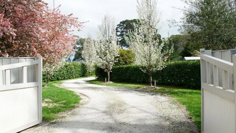 Robin Hill Manor - Holiday Byron Bay 2