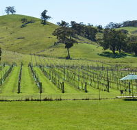 Blue House at Mountainside Wines - Holiday Byron Bay