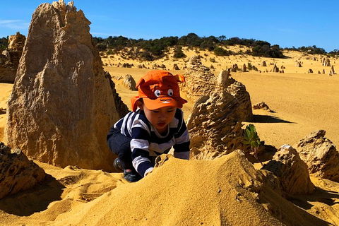 Perth Kids Explorer (Private) Day Tour - Holiday Byron Bay 3
