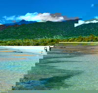 5-Day Best of Cairns with Daintree Kuranda and Great Barrier Reef - Holiday Byron Bay