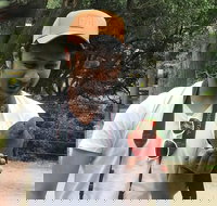 Full-Day Great Ocean Road Small-Group Tour from Melbourne