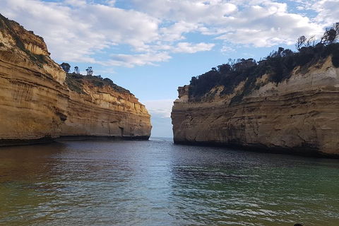 Luxury Private Great Ocean Road Tour Up To 11 People - Entire Vehicle - Holiday Byron Bay 2