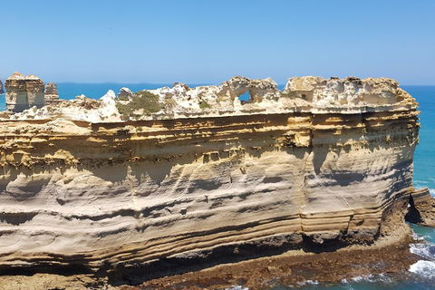 Luxury Private Great Ocean Road Tour Up To 11 People - Entire Vehicle - Holiday Byron Bay 4