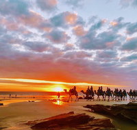 1 Hour Broome Sunset Camel Tour - Holiday Byron Bay
