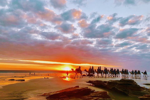1 Hour Broome Sunset Camel Tour - Holiday Byron Bay 0