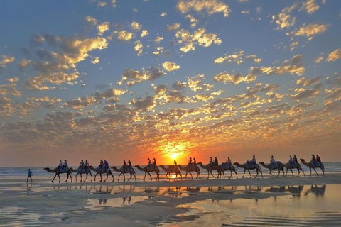 1 Hour Broome Sunset Camel Tour - Holiday Byron Bay 1