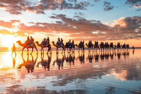 1 Hour Broome Sunset Camel Tour - Holiday Byron Bay 2