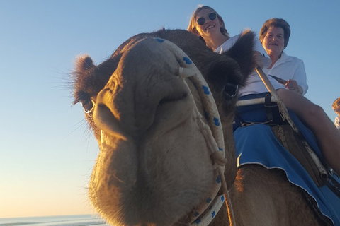1 Hour Broome Sunset Camel Tour - Holiday Byron Bay 4