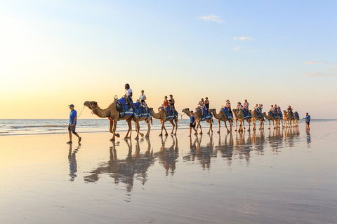 1 Hour Broome Sunset Camel Tour - Holiday Byron Bay 5