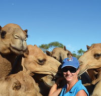 Broome Pre-sunset Camel Tour 30 minutes - Holiday Byron Bay