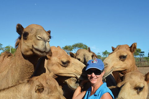 Broome Pre-sunset Camel Tour 30 Minutes - Holiday Byron Bay 0