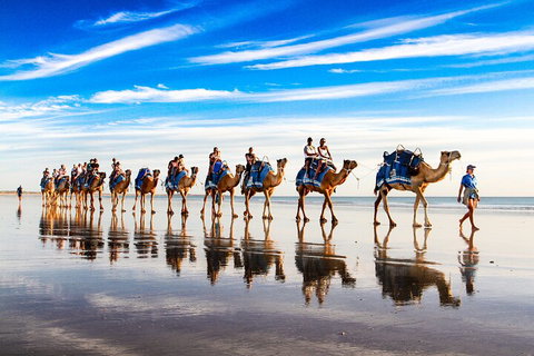 Broome Pre-sunset Camel Tour 30 Minutes - Holiday Byron Bay 2