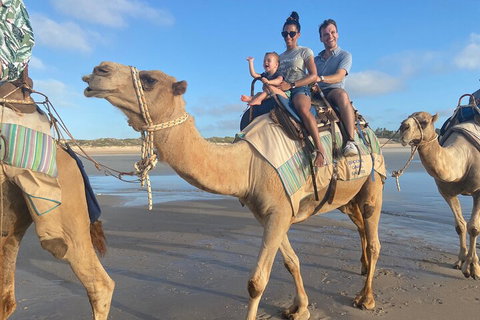 Broome Pre-sunset Camel Tour 30 Minutes - Holiday Byron Bay 3