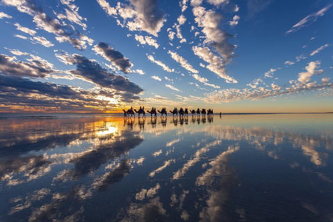 Broome Pre-sunset Camel Tour 30 Minutes - Holiday Byron Bay 4