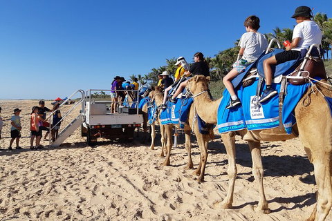 Broome Pre-sunset Camel Tour 30 Minutes - Holiday Byron Bay 5