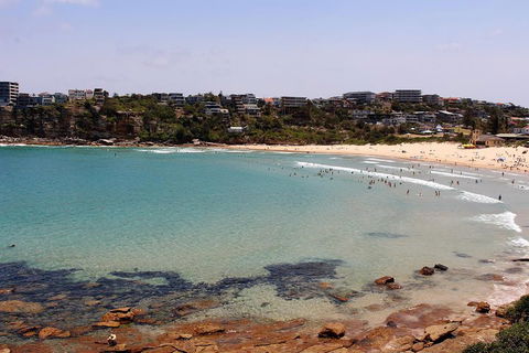 Half Day Manly Beach And More - Holiday Byron Bay 2