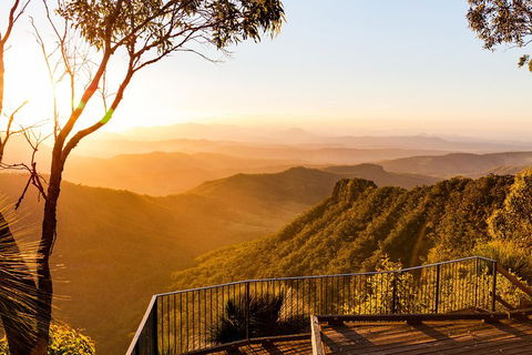 O'Reilly's & Lamington National Park Incl. Alpaca Farm + Vineyard - Holiday Byron Bay 0