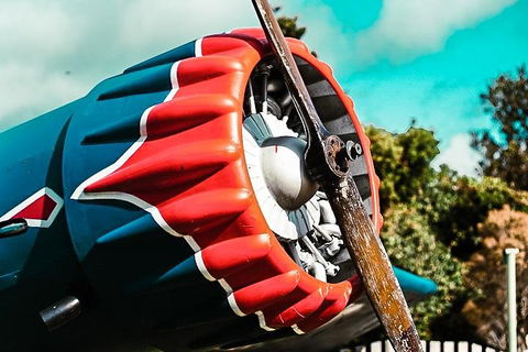 O'Reilly's & Lamington National Park Incl. Alpaca Farm + Vineyard - Holiday Byron Bay 1